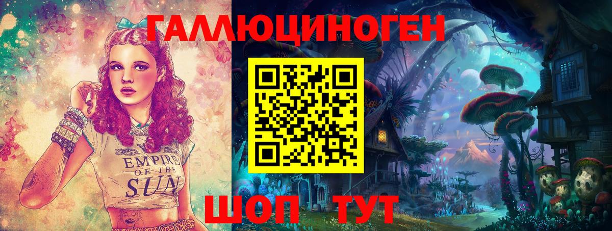 Псилоцибиновые грибы Psilocybe Ялуторовск